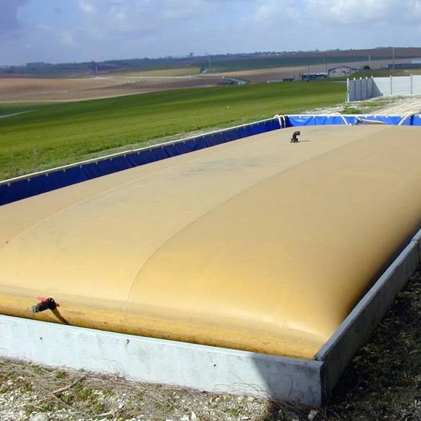 Types of storage tank