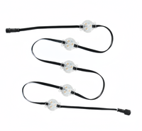 Lumière de piste permanente extérieure UL Listed DC12V 30mm UCS2903 UCS2904 RGB RGBW LED Pixel Point Light pour la décoration de la maison