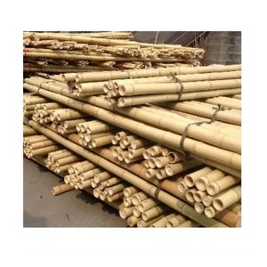 Piquet en bambou de haute qualité, récolte propre, pour le soutien professionnel des vignobles et outil essentiel pour une gestion efficace des cultures - Product Image 4