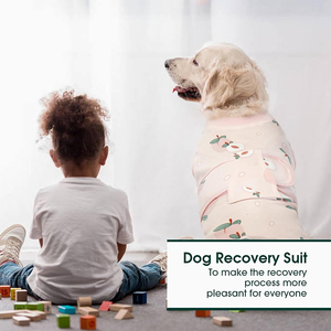 Traje de Recuperación <span class=keywords><strong>para</strong></span> Perros, Ropa Quirúrgica <span class=keywords><strong>para</strong></span> Mascotas Después de Cirugía, Transpirable, Anti-Lamido, Camiseta de Recuperación Postoperatoria - Product Image 5