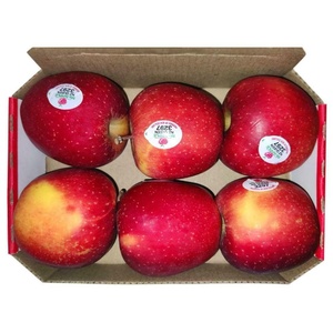 Manzanas Rojas Fuji Orgánicas de Buena Calidad, Certificadas por la OIE, Fruta Fresca al por Mayor, Precio de Exportación con Descuento, Deliciosamente Crujientes, 20 kg/caja, Grado - Product Image 4