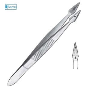 Pinzas Quirúrgicas Rectas de Acero Inoxidable Hunter Forceps para Cirugía General, Instrumento de Clase I con Certificación CE, Precio Bajo, Personalizadas - Product Image 1