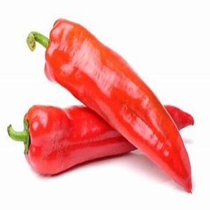 Piment rouge piquant naturel pur disponible au meilleur prix - Product Image 2
