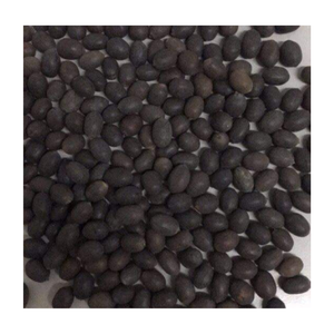 เมล็ดบัวสีดำในเปลือกเมล็ดบัวคุณภาพดีพร้อมส่งออกจาก99 GD - Product Image 3