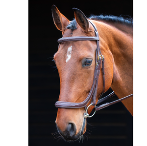 Brida al por mayor nueva brida de cuero snaffle de caballo de alta calidad en negro venta al por mayor nueva piel snaffle de caballo de alta calidad - Product Image 1