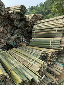 Piquets de jardin en bambou naturel, écologiques et durables, les plus vendus – Support en bambou bleu - Product Image 5