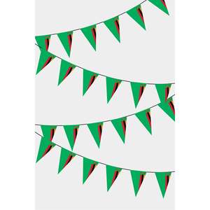 Drapeau zambien personnalisé 3x5 pieds avec guirlande triangulaire, techniques d'impression numérique, matériaux coton, plastique et soie, logo personnalisé - Product Image 1
