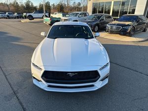 ใช้2025 Fo_rd Mustang EcoBoost Fastback RWD - Product Image 4