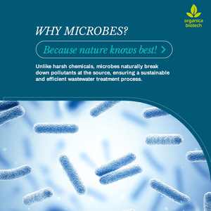 Traitement biologique des eaux usées avec Bioclean - Product Image 3