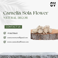 Fleurs de Camélia Sola Biologiques Écologiques Faits Main de Haute Qualité pour Décoration Intérieure/Extérieure d'Halloween – Vente en Gros