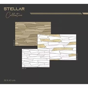 Vistaar Carreaux muraux brillants en céramique numérique de marque indienne Excellent design pour Hall Salle de bain Tailles 12x18in 30x45cm 300x450mm Direct - Product Image 6