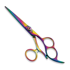 Tijeras de corte de pelo con mango de plástico con hoja de acero inoxidable Tipo de producto de belleza - Product Image 4