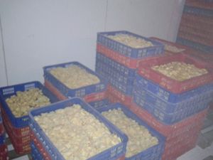 Iqf ขนุนแช่แข็งพรีเมี่ยมรสชาติหวานธรรมชาติขายส่งส่งออกจำนวนมากจากเวียดนาม - Product Image 2