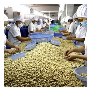 EXTRAIT DE COQUILLE DE CAJOU 100% NATUREL VENTE EN GROS QUALITÉ PREMIUM HUILE DE CARDANOL MEILLEUR PRIX DES FOURNISSEURS VIETNAMIENS - Product Image 1