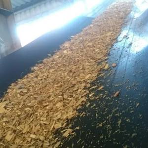 Copeaux de bois de déchets agricoles de pin et d'acacia de haute qualité en grande quantité - Product Image 3