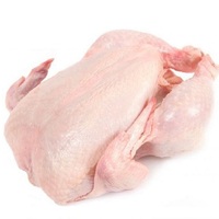 Poulet entier Halal congelé de haute qualité avec de la graisse Produit à prix compétitif