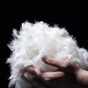 Rds Oeko gối Comforter điền không có nụ cười Chất lượng cao bán buôn 2-4cm Trắng số lượng lớn ngỗng lông để bán - Product Image 1