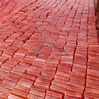 JOBAK Vente en gros de briques de sel de l'Himalaya naturelles sculptées de 5x10x20 cm, certifiées ISO, directement des mines du Pakistan, personnalisables, qualité supérieure