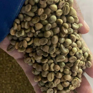 Café Arábica Tostado, Vida Útil de 3-5 Años, 1000 kg, Kenia, 100% Puro, Procesamiento Lavado, Grado A/B/C, Café de Buena Calidad - Product Image 2