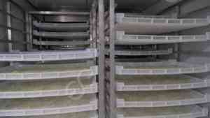 Deshidratador de Alimentos con Bomba de Calor para Kiwi, Pitaya, Durazno, Maracuyá, Higos, Aloe, Mango y Otros Vegetales - Product Image 5