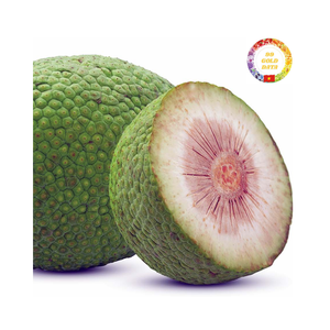 Fruta de pan congelada de alta calidad en rodajas envasadas al vacío Ideal para cocinar y recetas veganas saludables - Product Image 6