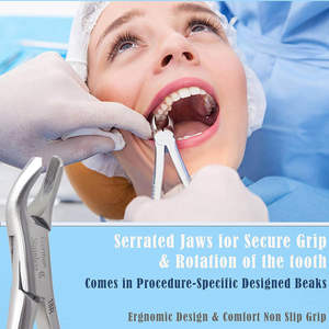 Fórceps Profesional para Extracciones Dentales, Acero Inoxidable de Alta Calidad, Agarre Ergonómico, 3 Posiciones de Mandíbula, Patrón Inglés - Product Image 2