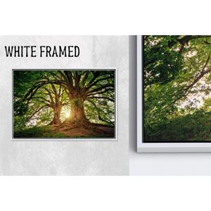 Tableau imprimé sur toile : paysage forestier, vue sur la nature, design élégant, toile encadrée blanche 1P - Product Image 1