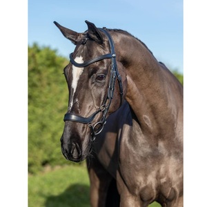 Bride tombante Bride de cheval en cuir Bride de cheval en cuir Design personnalisé - Product Image 1