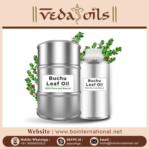 Nuevo extracto de hoja de buchu de Grado Superior ACEITE DE buchu al mejor precio - Product Image 6