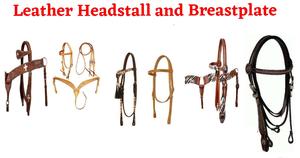 Harnais de polo en cuir et nylon réglable pour chevaux - Rembourrage doux, quincaillerie durable, ajustement confortable, entraînement, équitation, équestre - Product Image 4