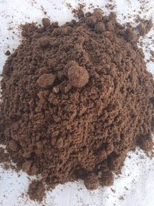 Maille pure de la pulpe 50 de bagasse d'exportation de quantité disponible pour la production de pâte à papier - Product Image 3