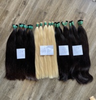 Cabello Humano Liso Vietnamita/Camboyano a Granel (BULK) Crudo Doble Grosor/Súper Doble Grosor con Cutícula Alineada