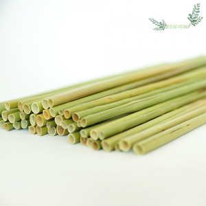 Venta al por mayor de pajitas desechables naturales ecológicas de Vietnam, producto Eco2go de alta calidad a precio competitivo - Product Image 4
