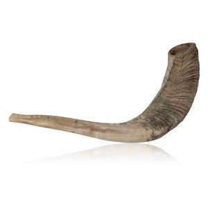 Ram Horn Shofar-Article de collection martelé et poli de qualité en gros, idée cadeau en vrac unique d'Inde - Product Image 1