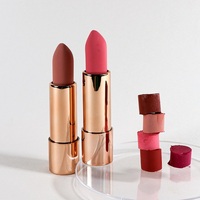 Natinda maquillage coréen OEM ODM OBM 12 rouge à lèvres brun humeur en noir 3.5g Collection de rouges à lèvres inspirés de l'art