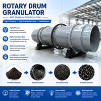 Machine de granulation de compost à tambour rotatif, système de granulés humides, haute production, faible humidité, recyclage des déchets organiques, usage industriel
