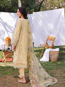 Conjunto de traje pakistaní original con bordado pesado, seda viscosa, diseñador Dupatta, colección de césped ecológica, cintura natural - Product Image 3
