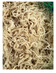 Musgo de mar salvaje-Musgo de mar irlandés-Secado Eucheuma Cottonii-Algas secas Eucheuma Cottonii auténticas de Vietnam - Product Image 2