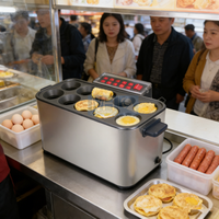 Machine à œufs et saucisses commerciale à 10 trous, fabrication automatique d'omelettes, maître des œufs, antiadhésive, machine à faire des hot-dogs et des rouleaux d'œufs