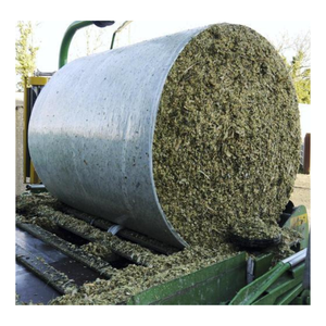 Domuz sığır atları balık yemi de dahil olmak üzere hayvancılık için en uygun beslenme için yüksek kaliteli mısır silajı - Product Image 4