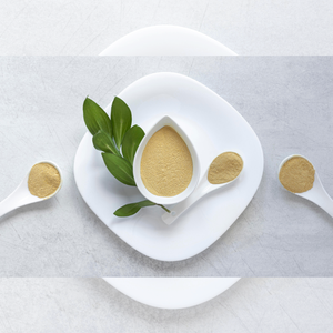 ผงใบมะขามเปียกที่มีคุณภาพสอดคล้องกับเซนโนไซด์สำหรับการสั่งซื้อจำนวนมากในตลาด B2B - Product Image 2