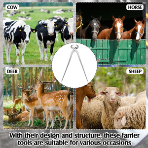 Nouveau maréchal-ferrant pince à sabot embout de coupe mâchoires insérées 15 "équipement de sabot pince à sabot professionnelle pour l'utilisation de chevaux et de bovins - Product Image 2