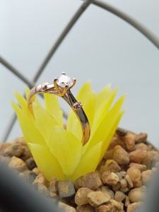 Pour GIA IGI certifié bague de fiançailles classique pour les femmes VVS Lab cultivé diamant taille ronde 14k 18k or pour les fêtes - Product Image 6