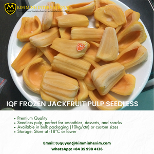 Jacquier jaune sucré congelé IQF le plus vendu du Vietnam emballé sous vide en vrac - Product Image 3