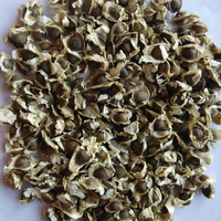 Les graines de Moringa PKM1 de bonne qualité sont pures et hygiéniques, sans impuretés utilisées pour la culture et l'extraction de l'huile.