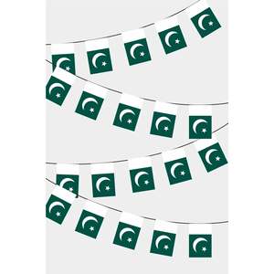 Guirlande de fanions rectangulaires du Pakistan - Product Image 1
