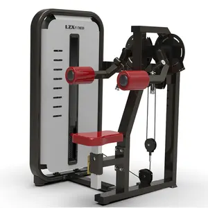 2024 Factory sale lateral raise commercial gym fitness equipment