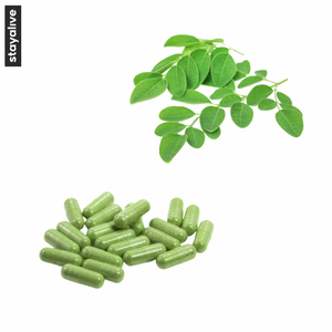 Capsules de poudre de Moringa |   Service de marque privée |   Moringa Oleifera |   Végétalien |   (60, 90, 120 capsules) - Product Image 2