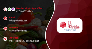 Hot Selling Highly Nutritious Best Quality Canned (Beans - Hummus Chickpeas - <b>Mushrooms</b> - Sweet Corn - Green Peas) From Egypt - Product Image 6