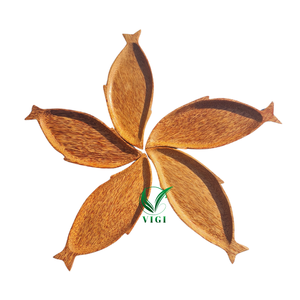 Platos de madera de coco de Vietnam de primera calidad, productos esenciales de cocina ecológicos artesanales, juegos de vajilla naturales duraderos a precio de fábrica - Product Image 5